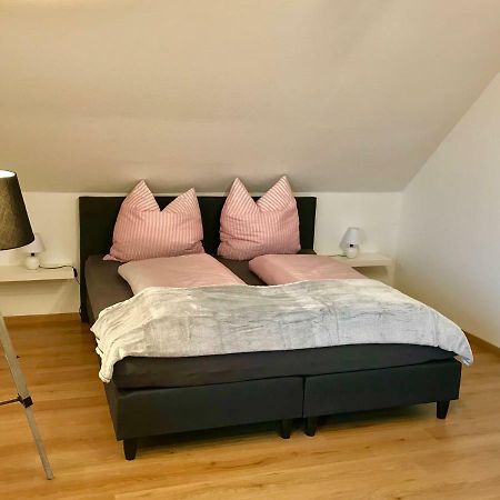 Grosses 1-Zimmer Wohlfuhl-Appartement Rednitzhembach Kültér fotó