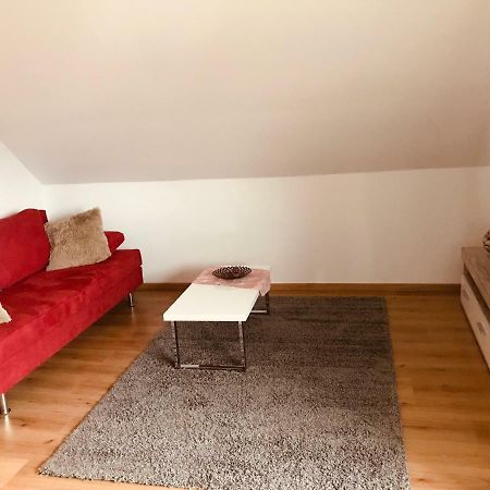 Grosses 1-Zimmer Wohlfuhl-Appartement Rednitzhembach Kültér fotó